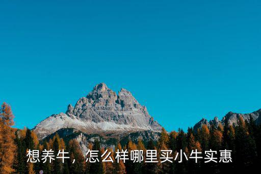 哪里有小牛崽出售l河南,哪里有牛苗出售