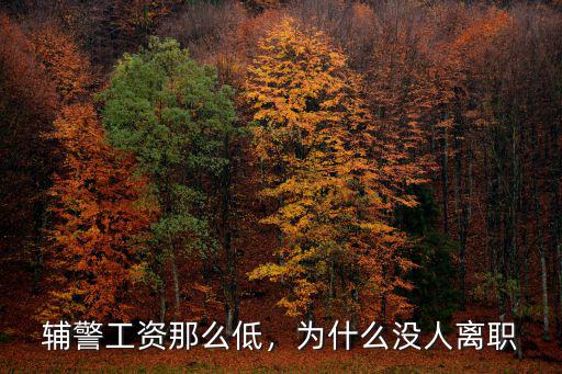 輔警工資那么低，為什么沒人離職