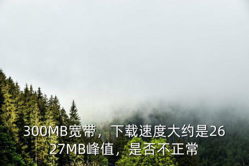 300MB寬帶，下載速度大約是2627MB峰值，是否不正常