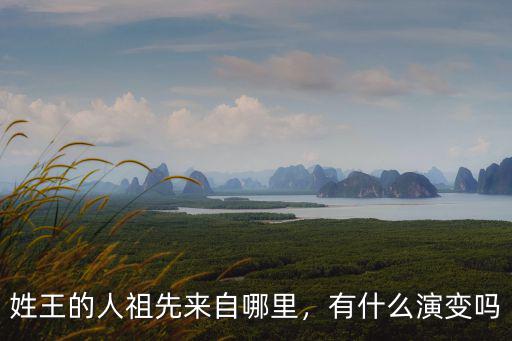 南陽王姓的祖宗是哪里,姓王的祖先是誰