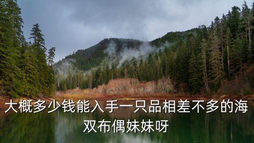 大概多少錢能入手一只品相差不多的海雙布偶妹妹呀