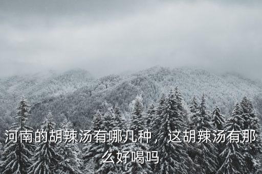 河南的胡辣湯有哪幾種，這胡辣湯有那么好喝嗎