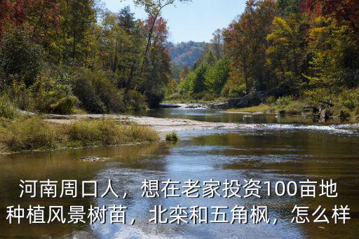 河南周口人，想在老家投資100畝地種植風景樹苗，北欒和五角楓，怎么樣