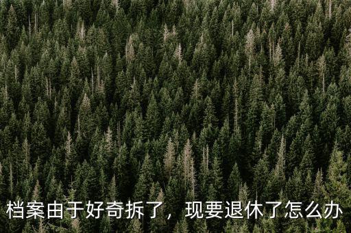 檔案由于好奇拆了，現要退休了怎么辦