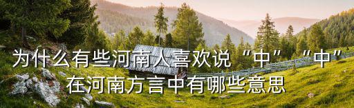 為什么有些河南人喜歡說“中”“中”在河南方言中有哪些意思