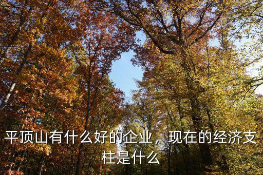 平頂山有什么好的企業，現在的經濟支柱是什么