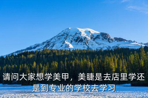 請問大家想學美甲，美睫是去店里學還是到專業(yè)的學校去學習