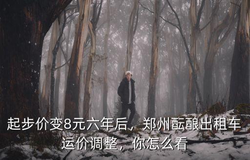 鄭州出租車怎么辨真假,鄭州出租車換新顏