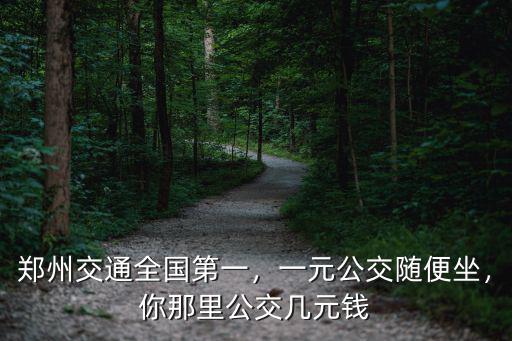 鄭州公交票價多少一元,一元公交隨便坐