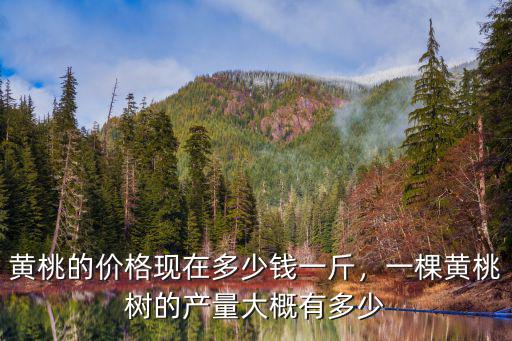 黃桃的價格現在多少錢一斤，一棵黃桃樹的產量大概有多少