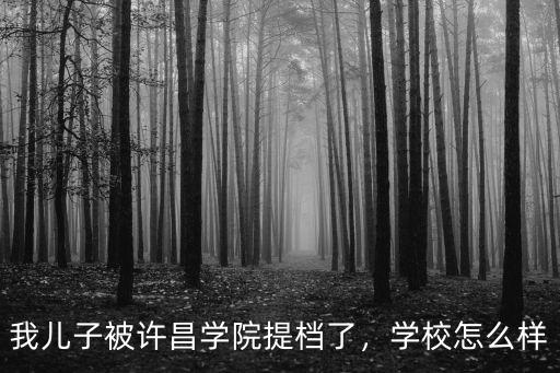我兒子被許昌學(xué)院提檔了，學(xué)校怎么樣
