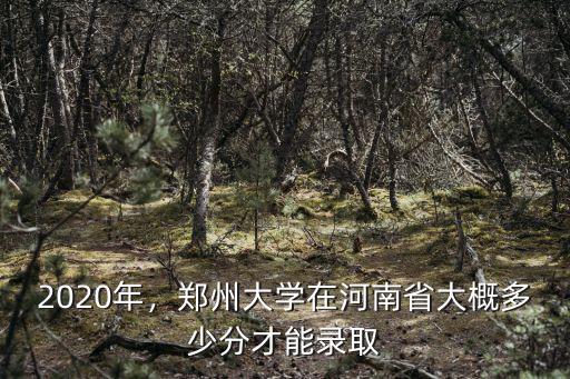 2020年，鄭州大學在河南省大概多少分才能錄取