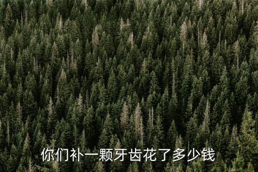 你們補一顆牙齒花了多少錢