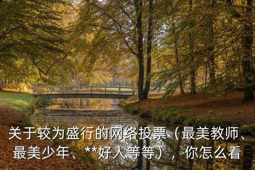 關于較為盛行的網絡投票（最美教師、最美少年、**好人等等），你怎么看