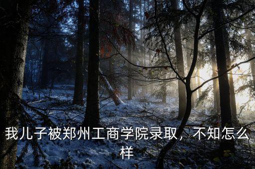鄭州工商學院怎么查宿舍分,鄭州工商學院怎么樣