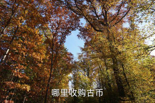 新鄉哪里有收購古錢的,哪里收購古幣