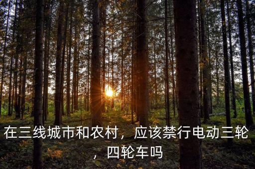 在三線城市和農(nóng)村，應(yīng)該禁行電動(dòng)三輪，四輪車嗎