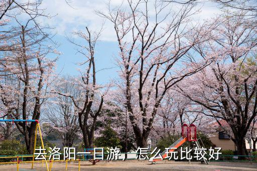 洛陽一日游作文怎么結尾,去洛陽一日游