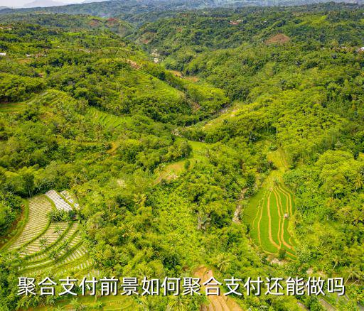 聚合支付前景如何聚合支付還能做嗎