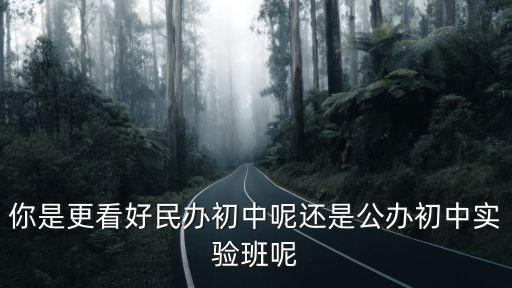 你是更看好民辦初中呢還是公辦初中實驗班呢