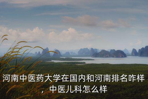 河南中醫藥大學在國內和河南排名咋樣，中醫兒科怎么樣