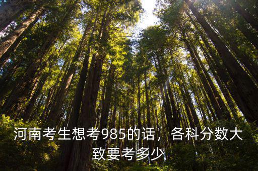 河南考生想考985的話，各科分數大致要考多少