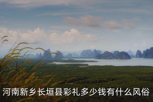 河南新鄉(xiāng)男孩結(jié)婚需要多少錢,河南新鄉(xiāng)長垣縣彩禮多少錢