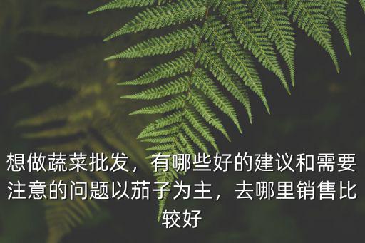 周口蔬菜哪里批發好,想做蔬菜批發