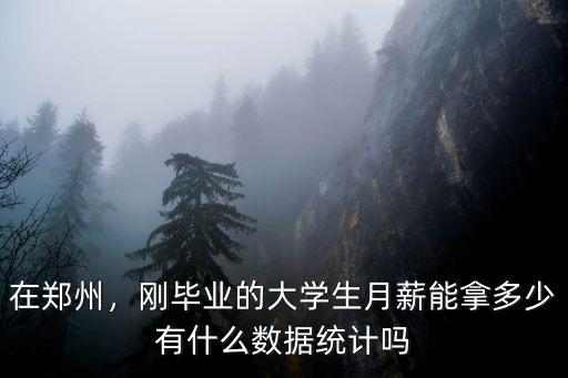 在鄭州，剛畢業的大學生月薪能拿多少有什么數據統計嗎