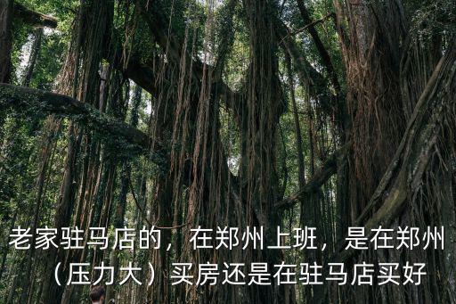 老家駐馬店的，在鄭州上班，是在鄭州（壓力大）買房還是在駐馬店買好