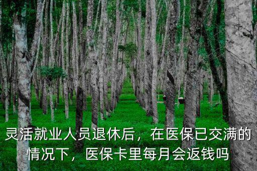 濮陽市靈活就業退休后怎么補醫保,靈活就業人員退休后