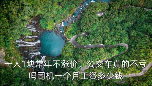 一人1塊常年不漲價，公交車真的不虧嗎司機一個月工資多少錢