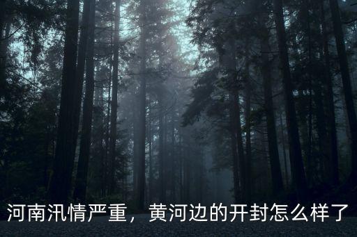 河南黃河怎么樣,黃河邊的開封怎么樣了