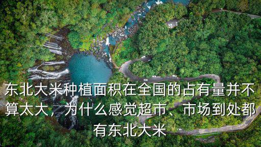 東北大米種植面積在全國的占有量并不算太大，為什么感覺超市、市場到處都有東北大米