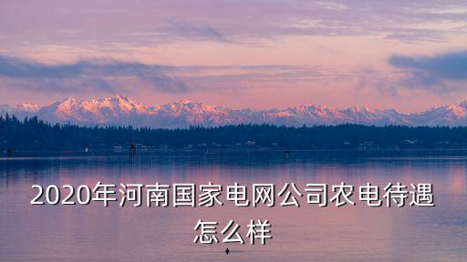 2020年河南國家電網(wǎng)公司農(nóng)電待遇怎么樣