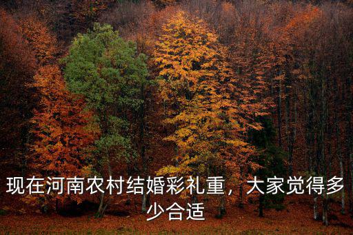 河南豫農結婚彩禮多少,現在河南農村結婚彩禮重