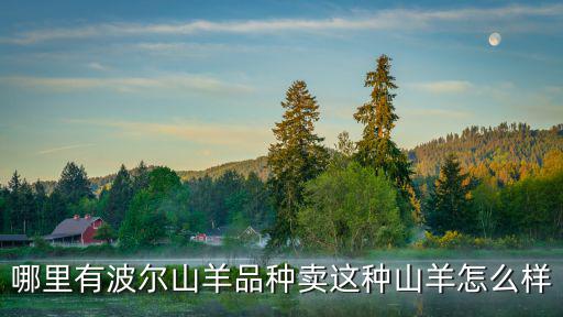 信陽(yáng)哪里有波爾山羊賣,哪里有波爾山羊品種賣