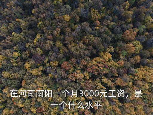 在河南南陽一個月3000元工資，是一個什么水平