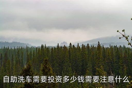 自助洗車需要投資多少錢需要注意什么