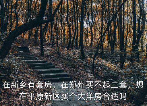 在新鄉(xiāng)有套房，在鄭州買(mǎi)不起二套，想在平原新區(qū)買(mǎi)個(gè)大洋房合適嗎