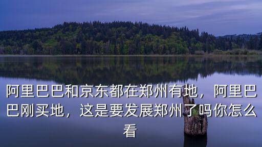 阿里巴巴和京東都在鄭州有地，阿里巴巴剛買地，這是要發展鄭州了嗎你怎么看