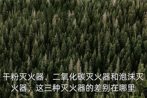 鄭州泡沫二氧化碳滅火器哪里有,二氧化碳滅火器和泡沫滅火器