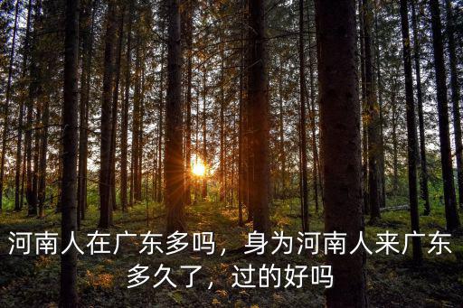 河南人在廣東多嗎，身為河南人來廣東多久了，過的好嗎