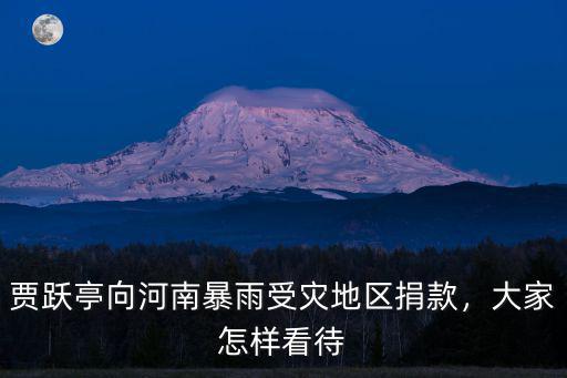 微博上怎么捐款河南,司馬南給河南捐款了么