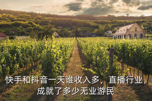 快手和抖音一天誰收入多，直播行業(yè)，成就了多少無業(yè)游民
