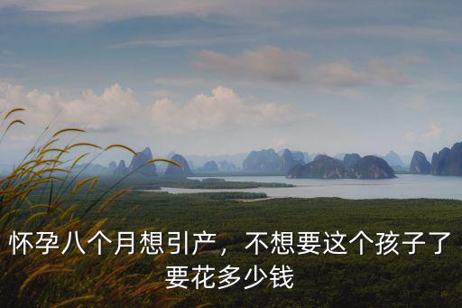 懷孕八個月想引產，不想要這個孩子了要花多少錢