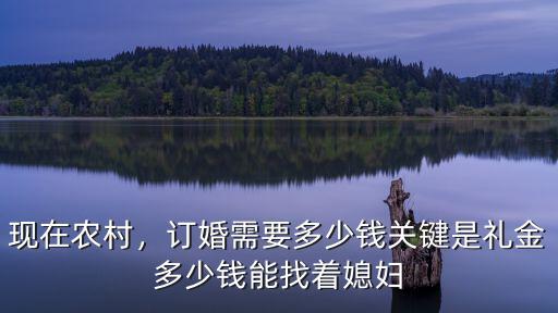 現在農村，訂婚需要多少錢關鍵是禮金多少錢能找著媳婦
