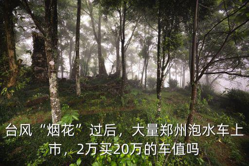 臺風“煙花”過后，大量鄭州泡水車上市，2萬買20萬的車值嗎