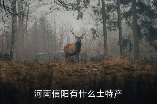 信陽(yáng)哪里產(chǎn)雞蛋,我國(guó)雞蛋主產(chǎn)地是哪里