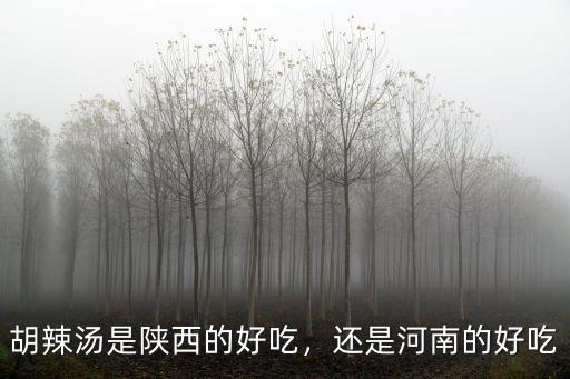 胡辣湯是陜西的好吃，還是河南的好吃